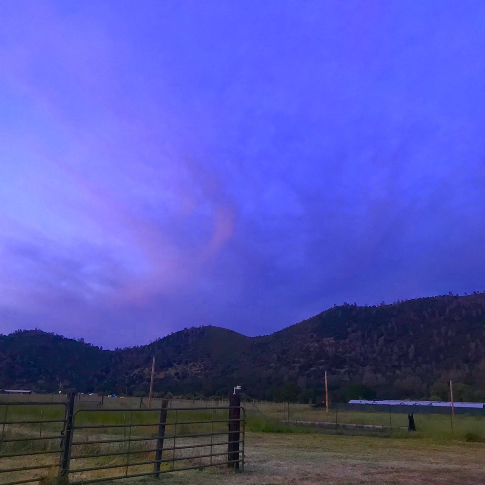 Meet your Posher, Carlos